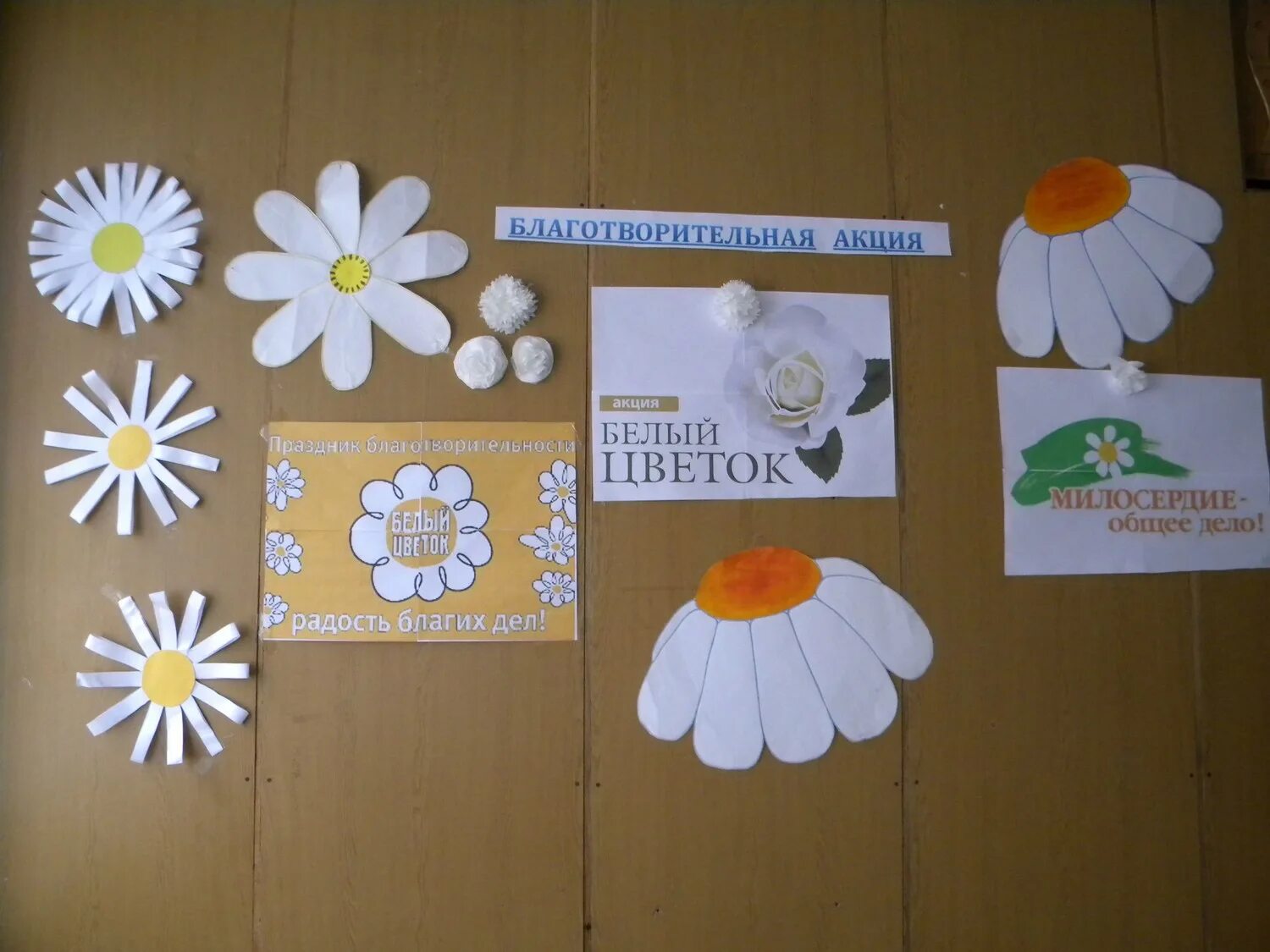 Урок милосердия белый цветок. Белый цветок символ милосердия. Акция белый цветок логотип. Урок милосердия белый цветок. Урок милосердия белый цветок.