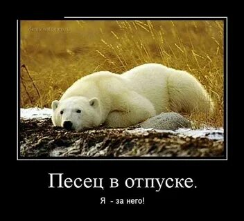 Белых отпустили