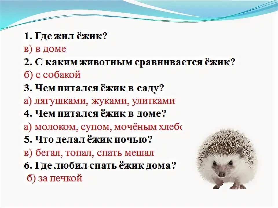 Рассказ Пушок Скребицкий. План к рассказу Пушок Скребицкого. План к рассказу Пушок. Вопросы к рассказу Скребицкого Пушок. Основная мысль текста ежик