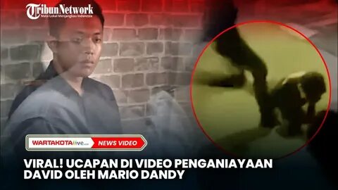 Anak david