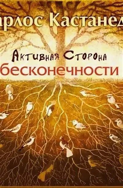 Кастанеда активная сторона бесконечности. Карлос кастанеда активная сторона бесконечности. Бесконечности кастанеда книга. Бесконечности кастанеда книга. Карлос кастанеда.