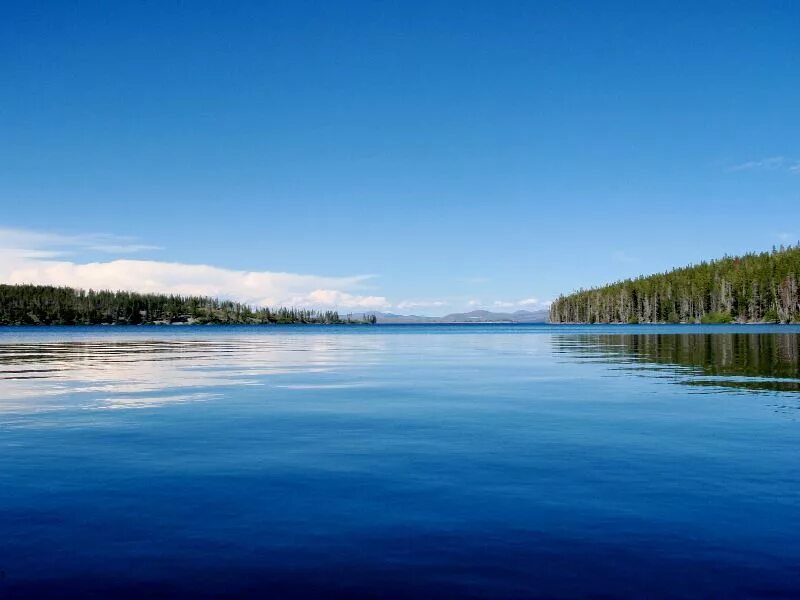 Озеро ясное глубина. Йеллоустоун Лейк. Йеллоустон (озеро). Йеллоустонское озеро. Озеро Оделл.