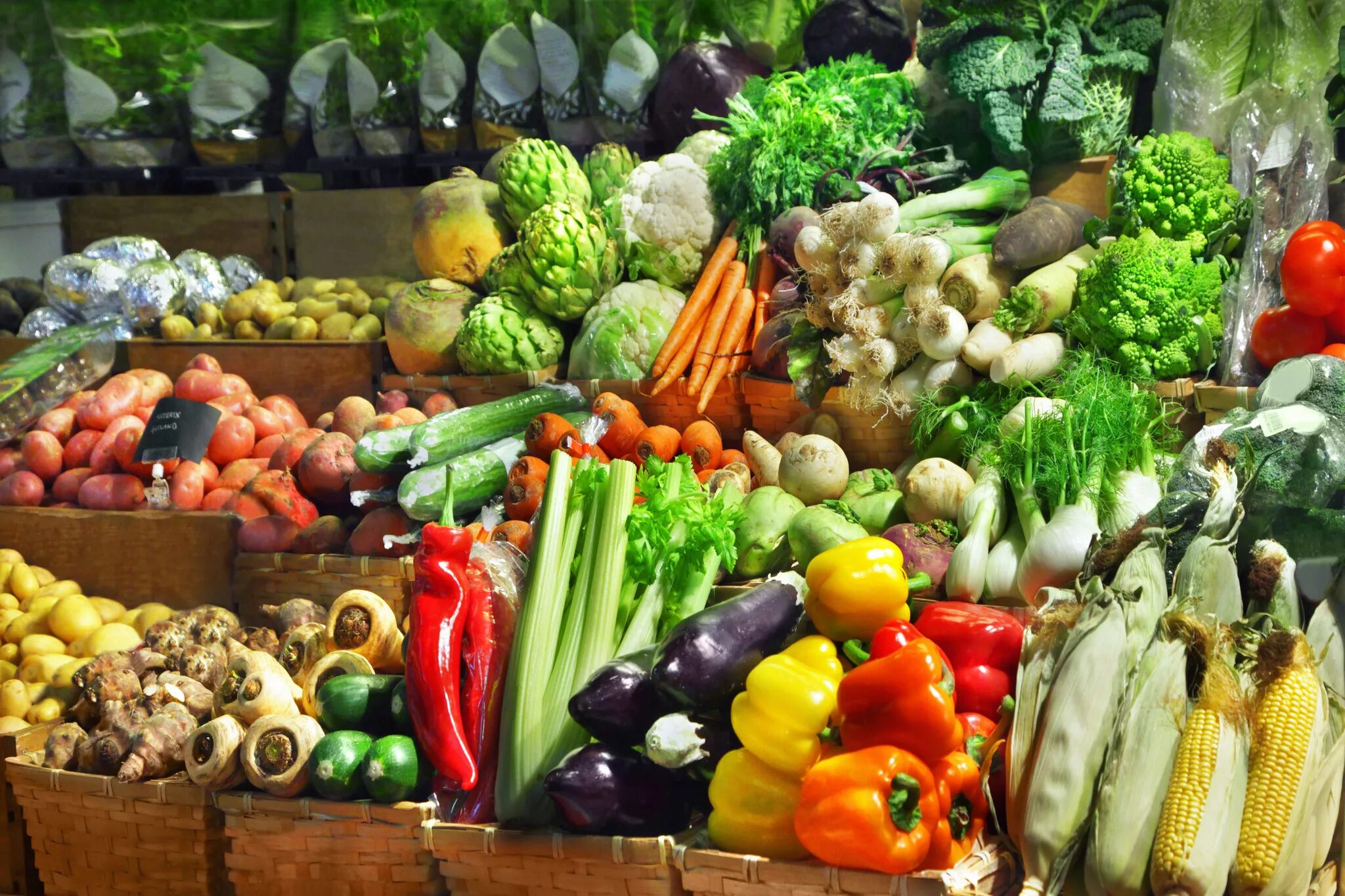 Овощи и фрукты. Овощи на прилавке. Прилавок с овощами и фруктами. Овощи на рынке.