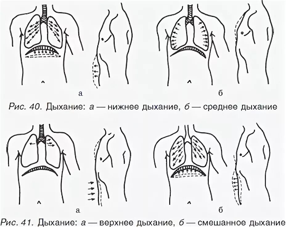 Упражнения для диафрагмы. Тренировка диафрагмального дыхания. Упражнение реберное дыхание. Диафрагмальное дыхание упражнения. Диафрагмальное дыхание техника выполнения.