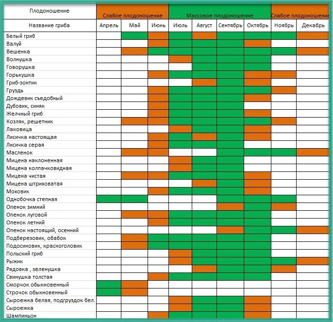 Программа определяющая время года. Таблица сбора грибов в Подмосковье. Таблица роста грибов по месяцам. Таблица сбора грибов в Московской области. График сбора грибов по месяцам.