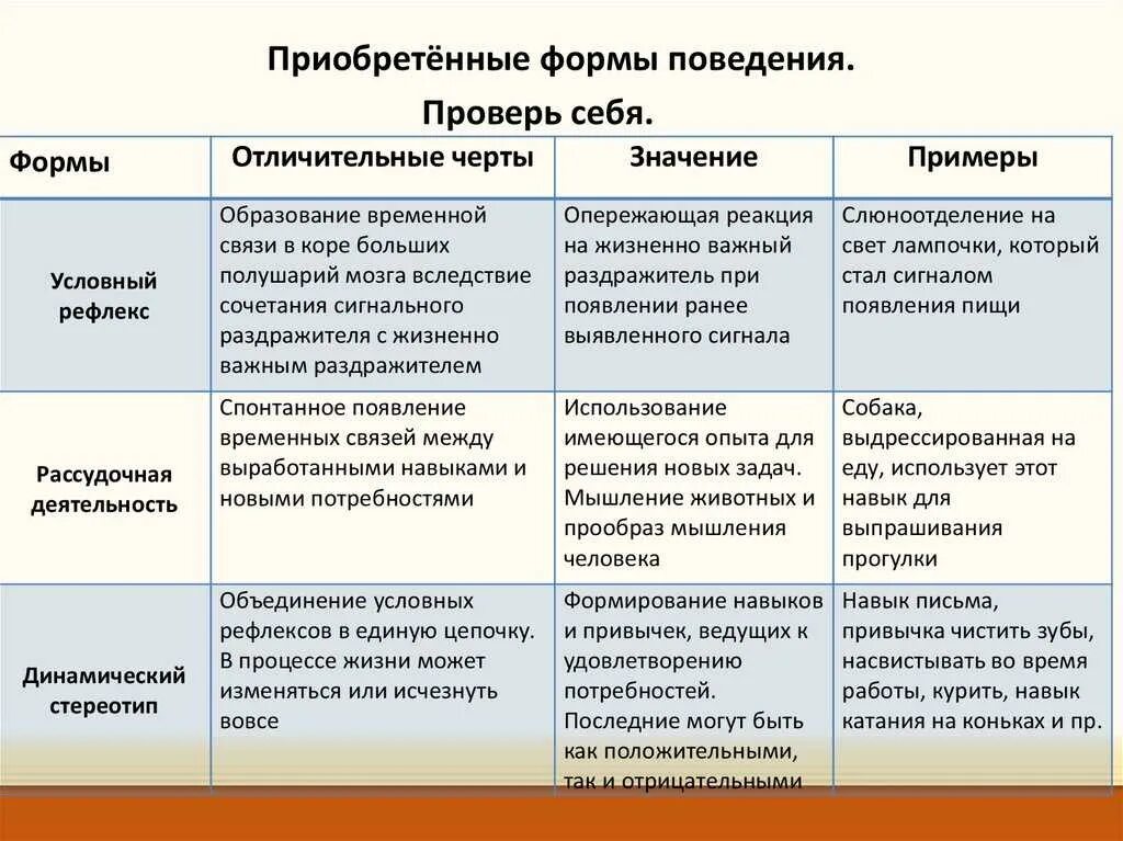 Выявите особенности и значение