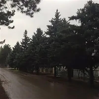 Кп комсомольский