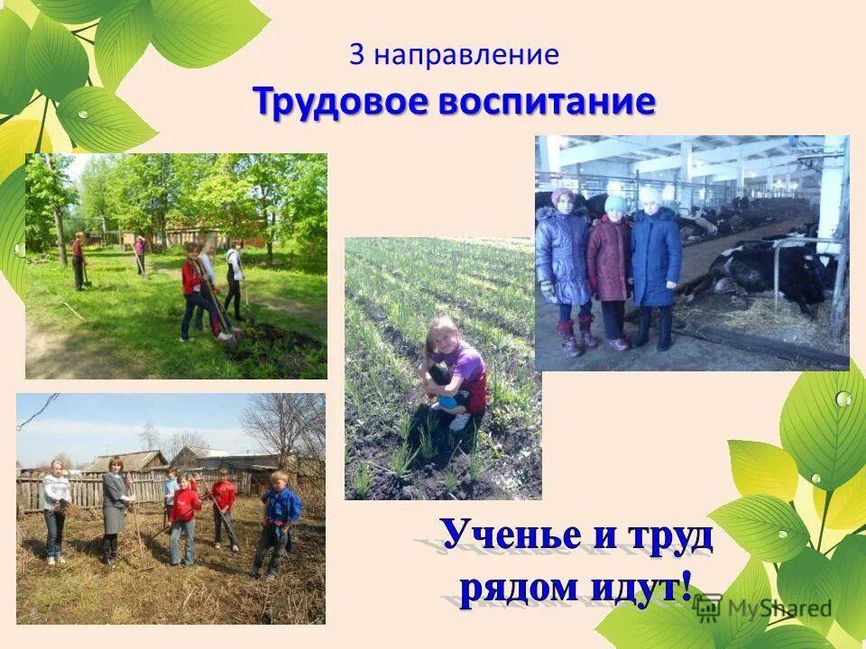 Трудовые мероприятия в школе. Трудовое воспитание учащихся. Трудовое воспитание в детском саду. Направления трудового воспитания. Трудовое воспитание учащихся в школе.