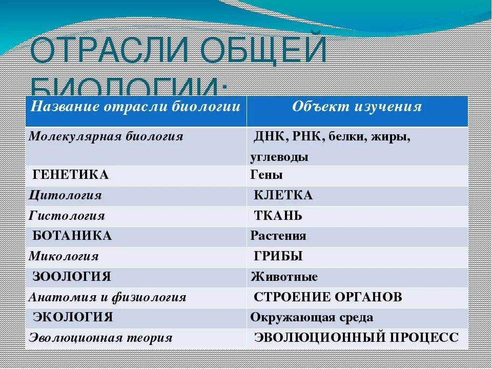 Какие есть области биологической науки. Отрасли биологии. Отрасли современной биологии. Основные отрасли биологии. Отрасли биологической науки.