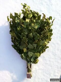 Береза дуб веники