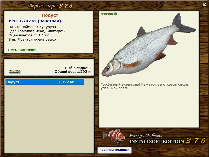 подуст рыба в волге. игра реальная рыбалка подуст. волжский подуст реальная рыбалка мокша. игра реальная рыбалка подуст. трофейный подуст.