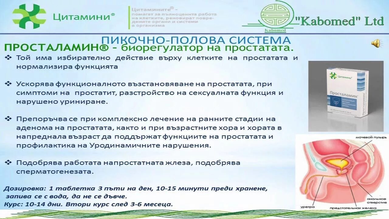 Просталамин инструкция по применению при простатите таблетки. Тесталамин. просталамин таблетки. просталамин таблетки инструкция. просталамин таблетки отзывы.
