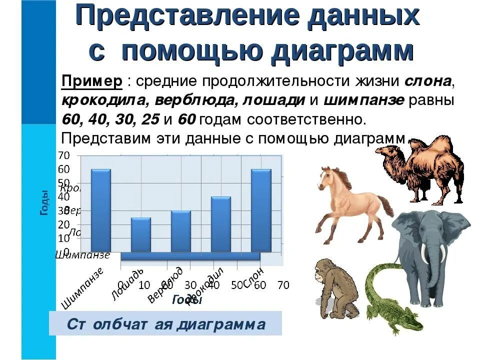 Столбчатая диаграмма Продолжительность жизни животных. Представление данных с помощью диаграмм. Средняя Продолжительность жизни слона. Продолжительность жизни лошади.