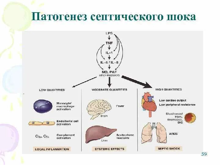 Патогенез септического шока. Септический ШОК патогенез. Патогенез септического шока схема. Схема развития септического шока. Патогенез развития септического шока.