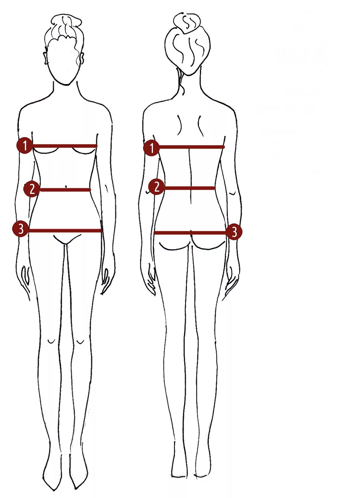 Поясница бедра. Как замерять мерки. Как правильно измерить обхват груди- талии и бедер. Как снять мерку обхват бедер. Как правильно измерять талию и бедра.