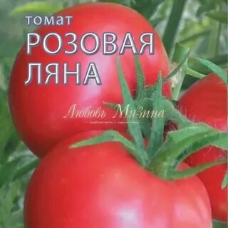 Ляна розовая описание