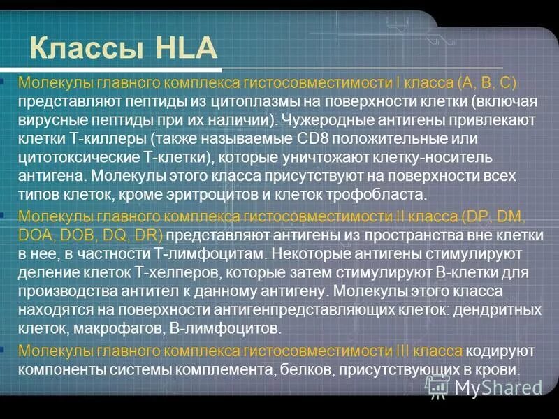 Антигены гистосовместимости 1 класса. Hla комплекс гистосовместимости. Антигены главного комплекса гистосовместимости (мнс). Гены 3 класса комплекса гистосовместимости. Главный комплекс гистосовместимости hla это.