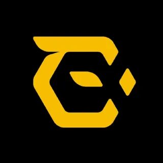 Secret org