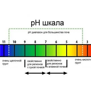 Ph соды