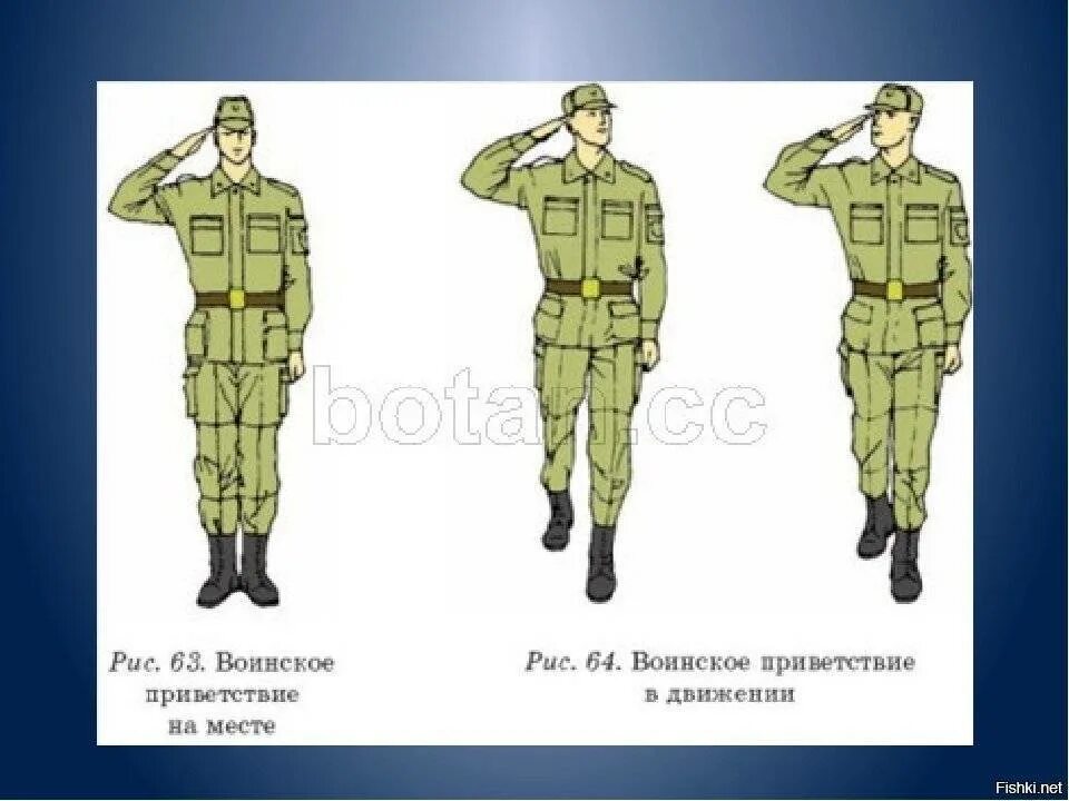 Как правильно отдавать воинское приветствие. Воинское приветствие. выполнение воинского приветствия. отдание воинского приветствия.