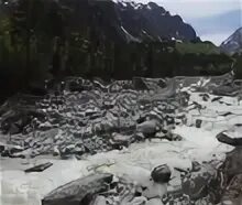 Цей отзывы. Цей отзывы