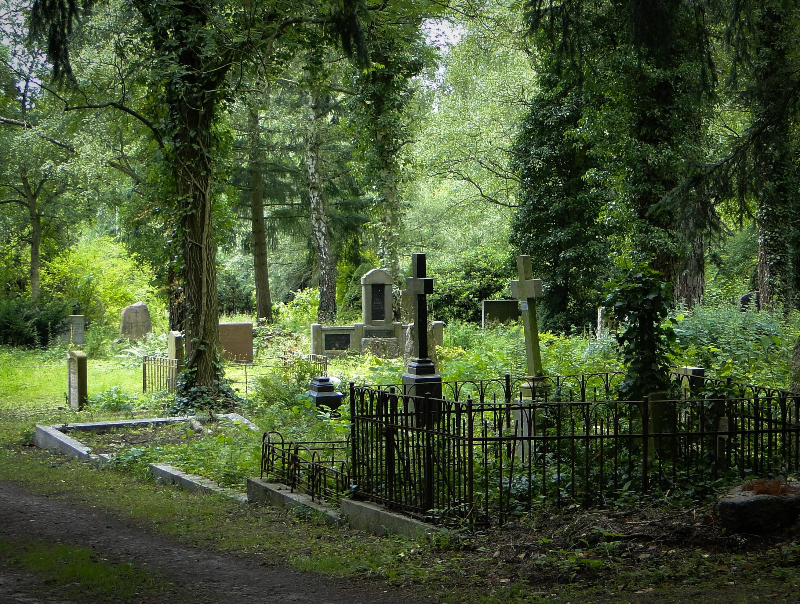 Альтер Фридхоф. Кладбище. Старое кладбище. Красивое кладбище.