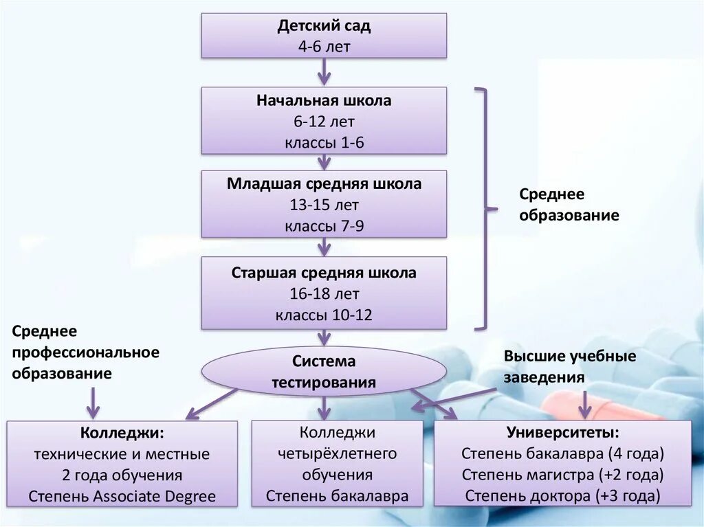 Структура образования в США схема. Медицинское образование в США структура. Система образования в Америке схема. Схема получения мед образования.