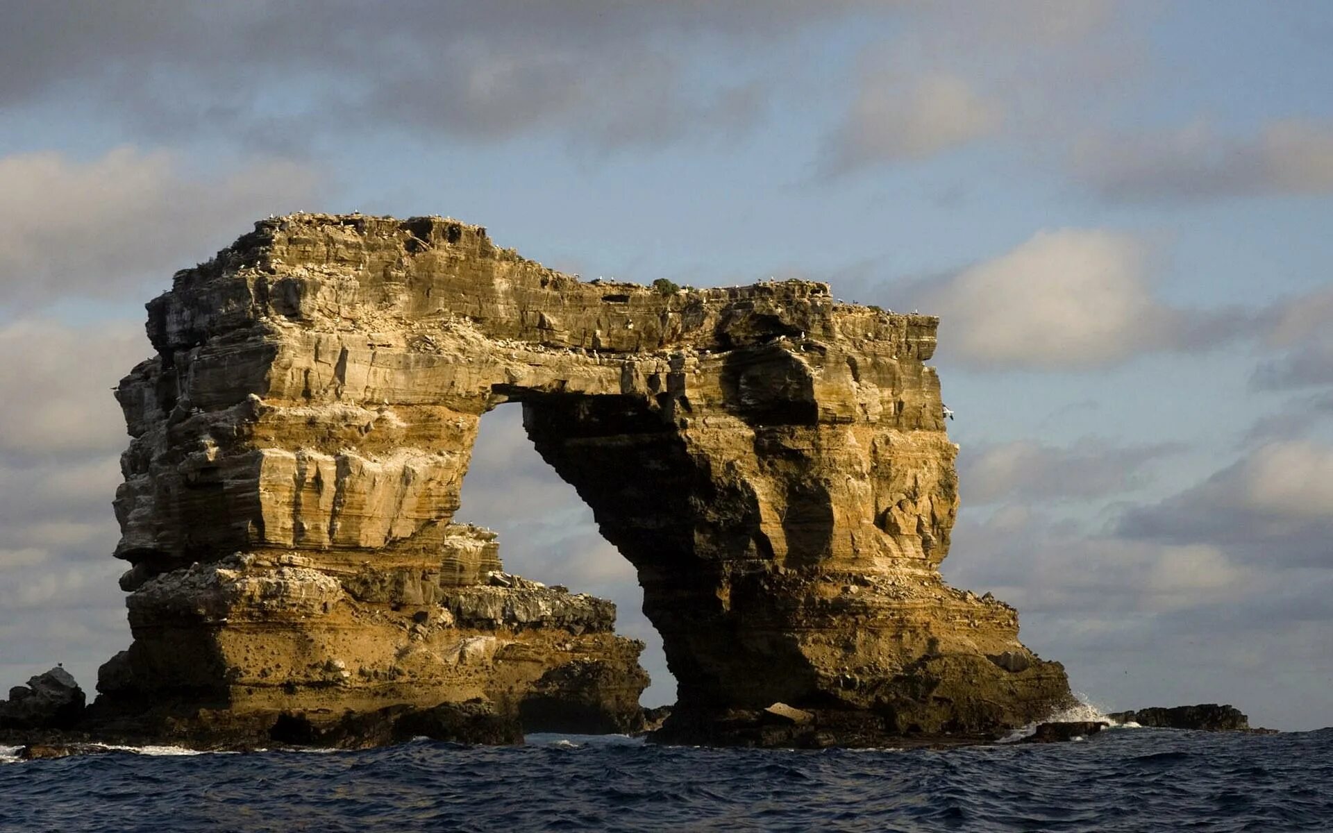 скала прекестулен. скала выступающая. вид с обрыва. одинокая скала. гора язык тролля норвегия.