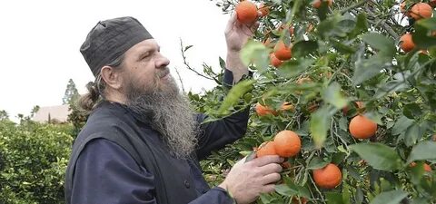 Протоиереем сергием барановым