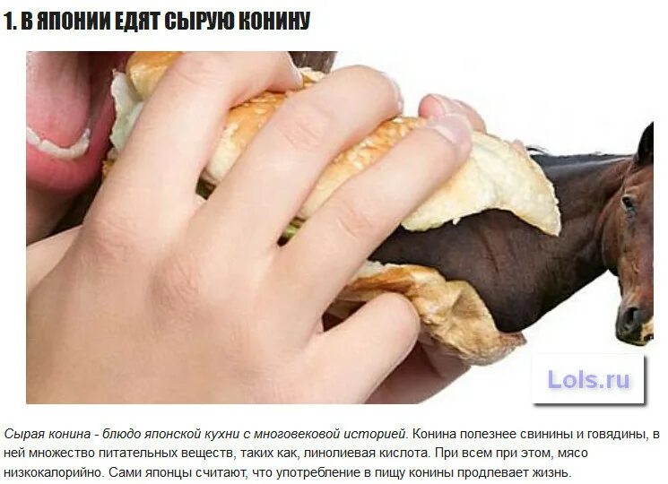 Почему едят конину. Сырая конина. в японии едят конину. 1. в японии едят сырую конину.
