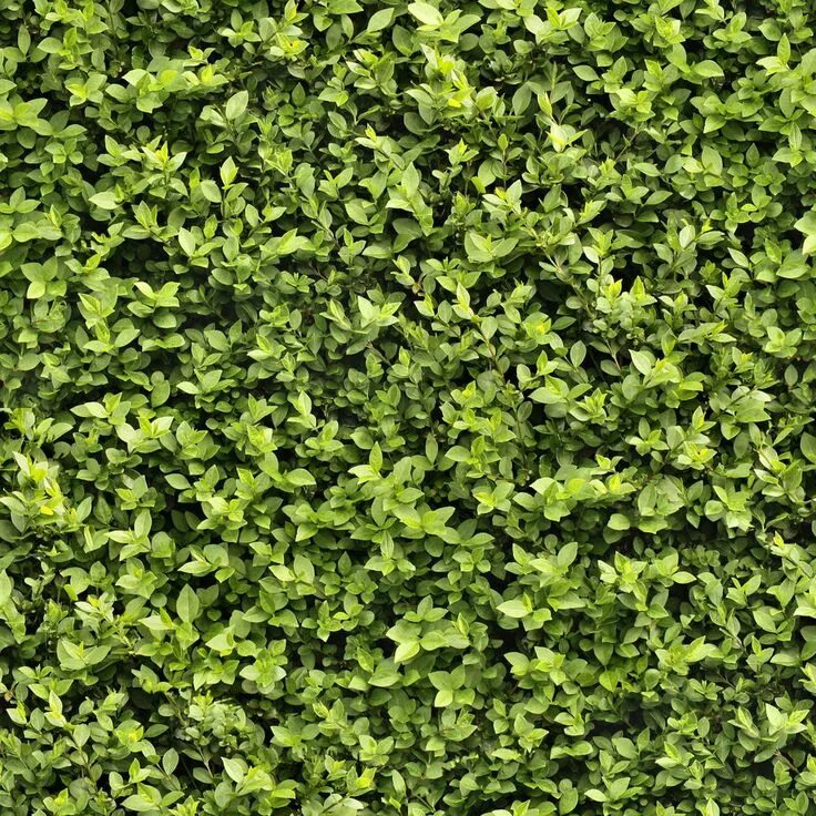Seamless textures