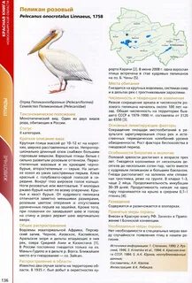 Красная книга нсо