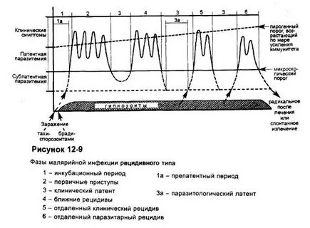 Рецидив малярии
