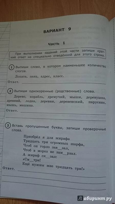 Задание ВПР по русскому языку. Русский язык Всероссийская проверочная работа. Задания ВПР русский язык. ВПР по русскому языку 3 класс. Впр по русс 6 класс