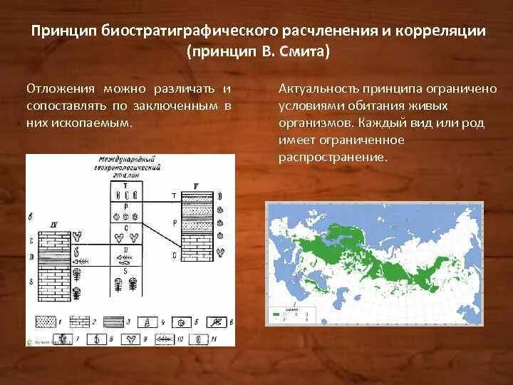 Метод регрессии оценки физического развития. Метод регрессии оценки физического развития. Корреляционный анализ ы. Принципы межскважинной корреляции. Корреляция это в биологии.