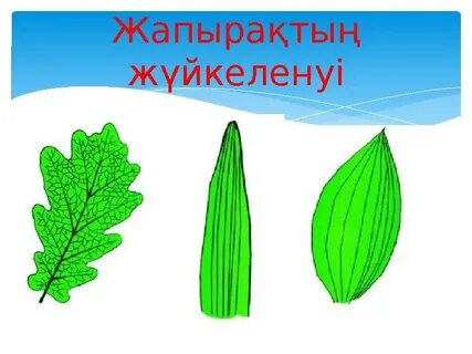 Массаж бойынша орысша порно