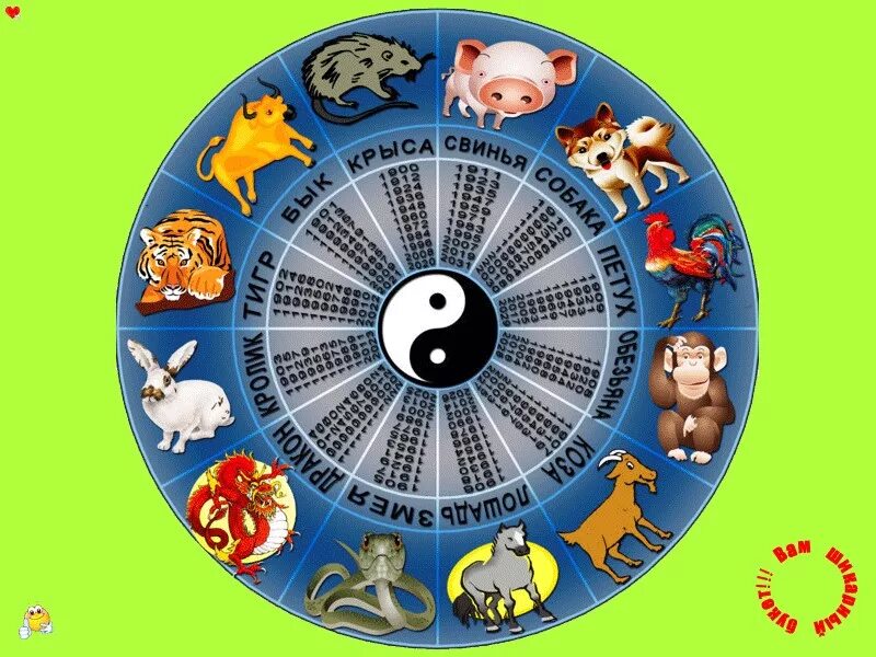 Какие 12 животных. Животные китайского календаря. Животные восточного календаря. Двенадцать животных восточного календаря. 12 животных восточного календаря.