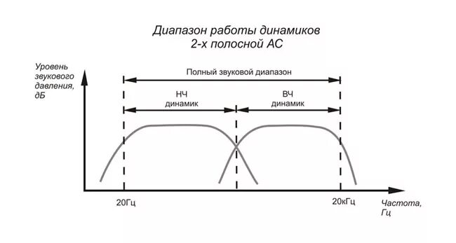 диапазон низких частот динамиков. частота врожденных пороков развития в россии. динамика чсс норма. динамики частота. колонки автомобильные частота резонанса.