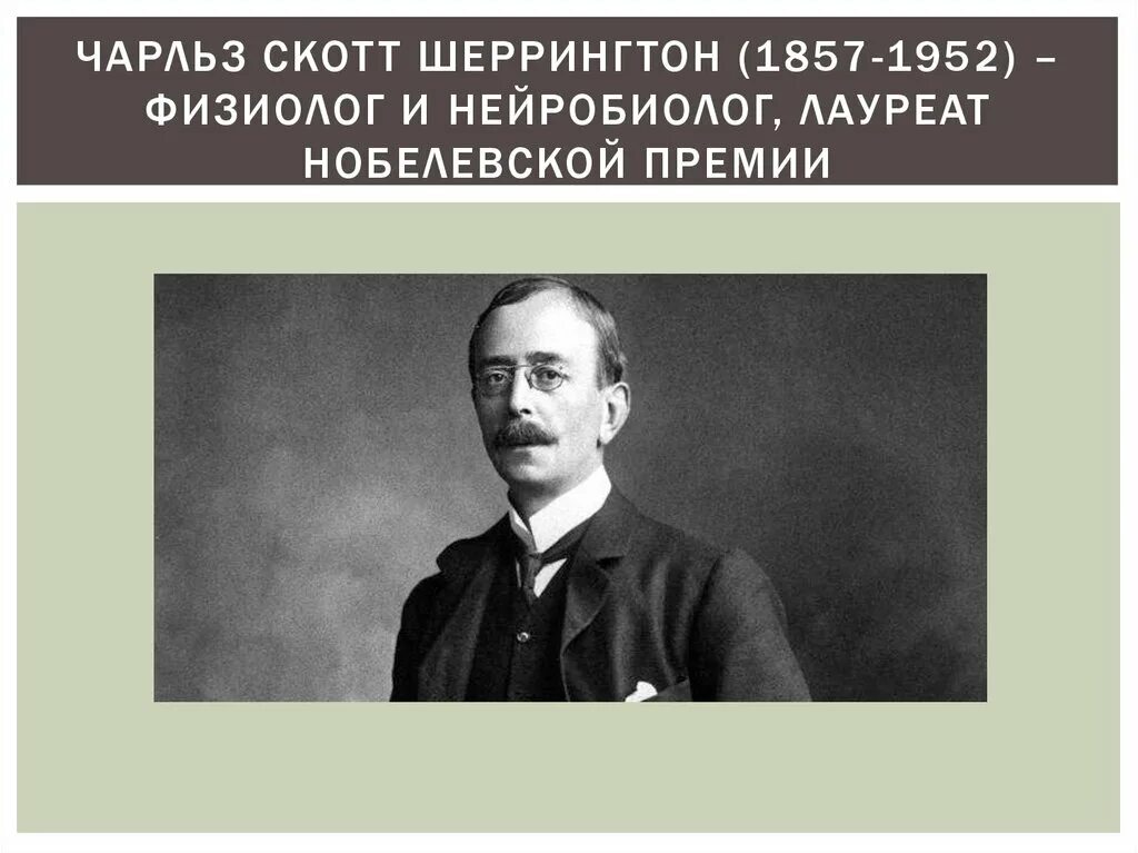 Физиолог нобелевской премии. 1897 Г. Чарлз Шеррингтон. Шеррингтон вклад в психологию.