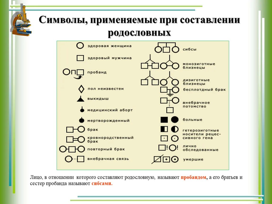 Родословная биология 11 класс. Родословная генетика пробанд. Символы применяемые при составлении родословных. Составление родословной. Генеалогическое Древо символ.