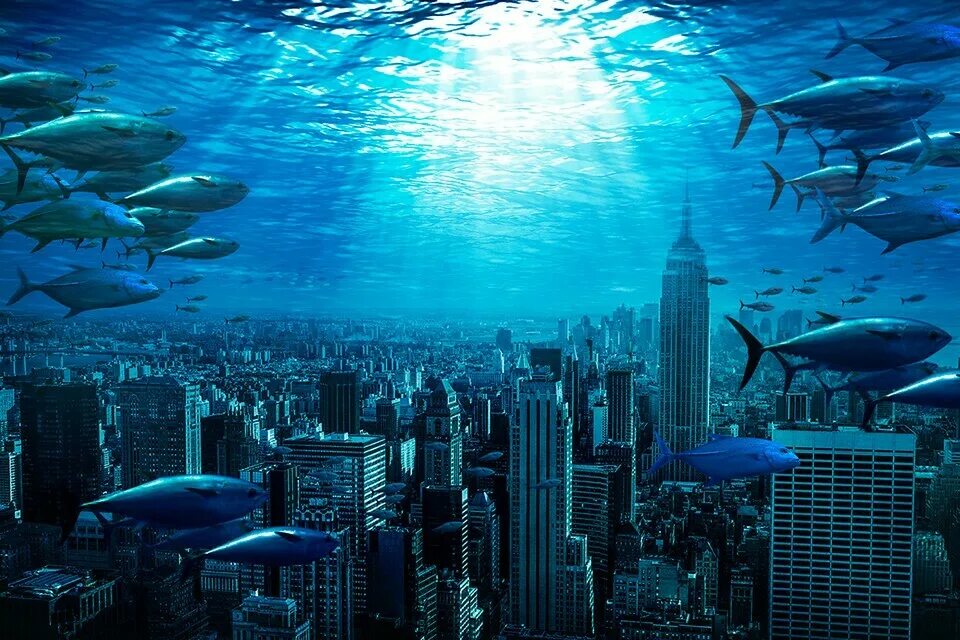 Уровень океана. Плавучий город колосс. Подводной пейзаж. Sea level rise. Город в мировом океане.