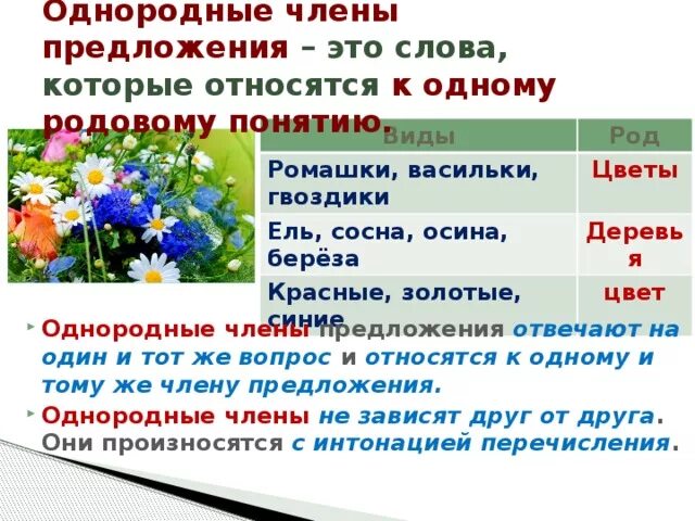 Предложение про растение. Составить предложение со словом цветок. Тема цветы предложения. Предложение про Василек.