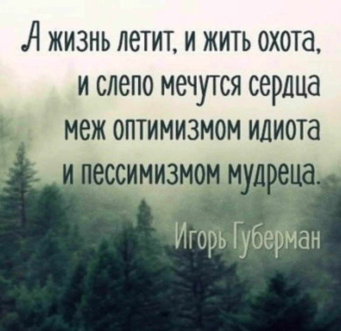 Не лети так жизнь так суетливо. Жизнь летит. а жизнь летит и жить охота и слепо мечутся сердца меж оптимизмом. а жизнь летит и жить охота губерман. жизнь пролетела.