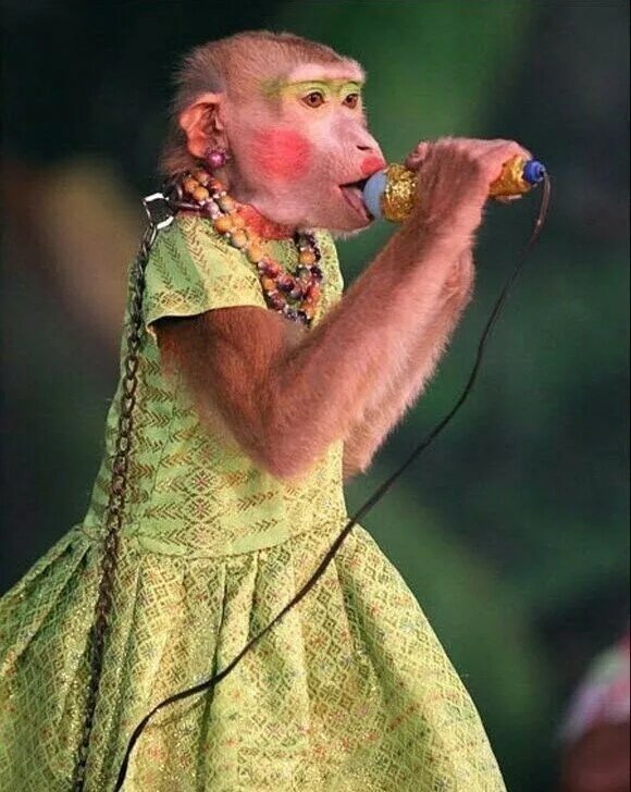 заткнуть уши. вокал дети. смешной поющий человек. ужасное пение. ужасное пение.