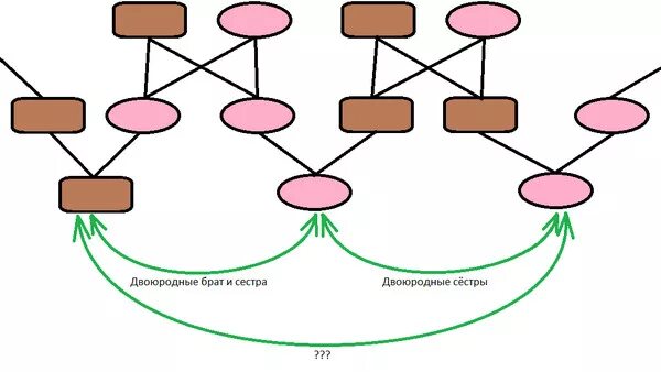 Что значит сводный брат сестра. Двоюродные брат и сестра схема. Двоюродный брат схема. Кузен схема. Сводный двоюродный брат.