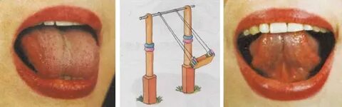 Көркем гимнастика секс видеолары