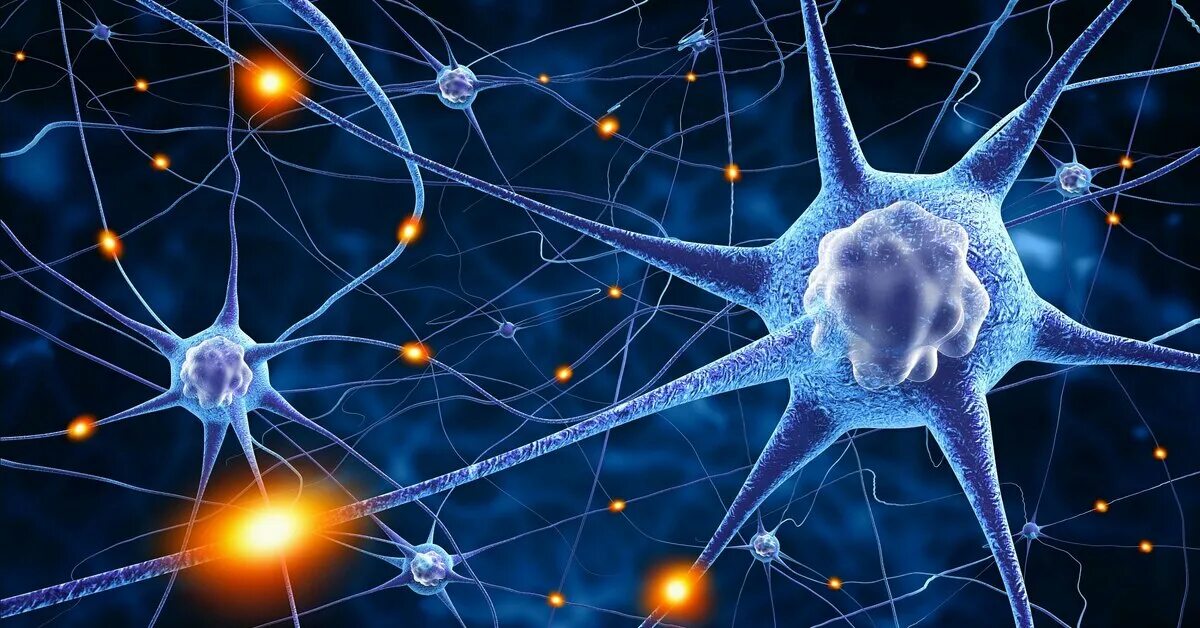 Что такое нейро. Нейрон клетка головного мозга. Нервная система Нейрон. Нервные клетки сеть нейронов. Нейронные клетки головного мозга.