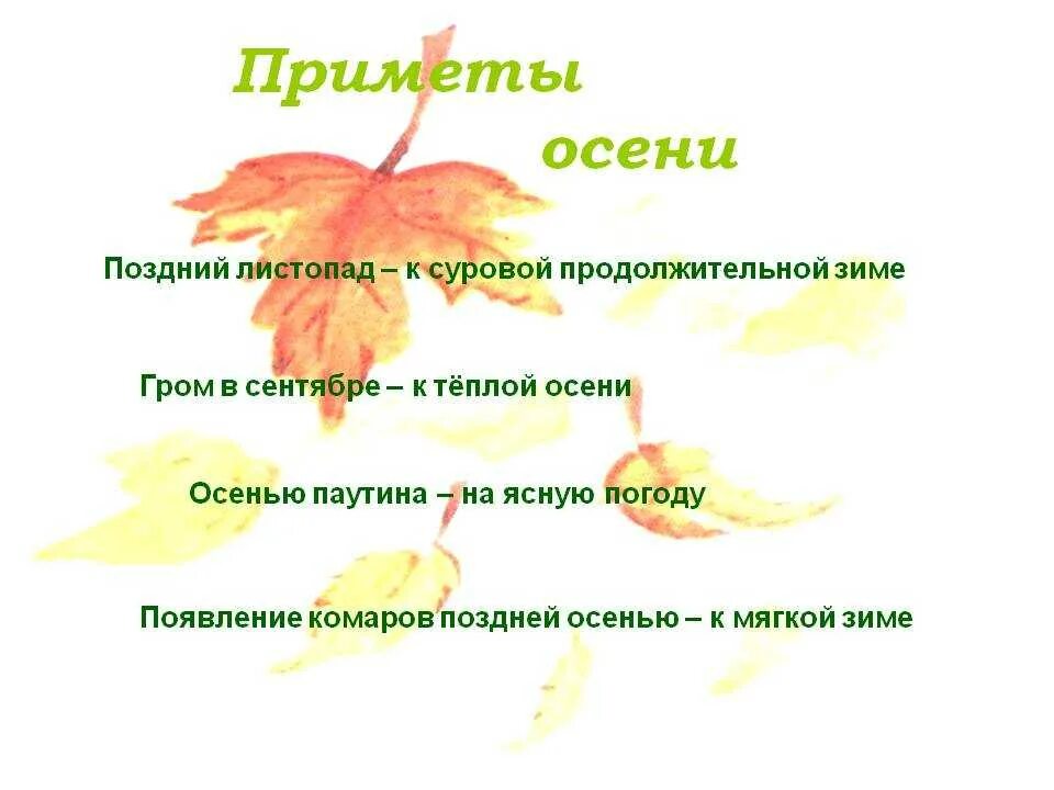 Текст о примете