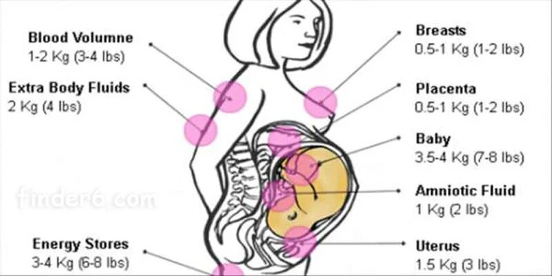 Вес беременных из чего состоит. Из чего состоит вес беременной женщины. Из чего слагается вес беременных. Вес беременной из чего складывается. 9 неделя тянет низ живота