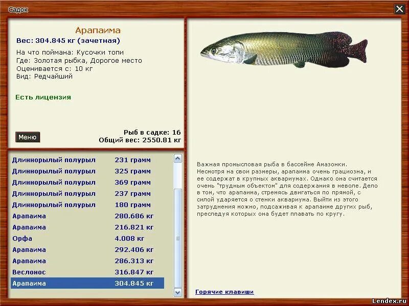 Сайт рыбалка золотой. Где ловить в русской рыбалке 3 Арапаима. Где поймать рыбу  золотую. На что ловится рыба арапайма. Рыбалка для друзей где и на что ловить рыбу таблица.